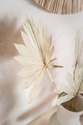 Gedroogd palmblad sun spear | droogbloemen
